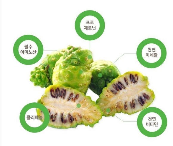 미래직업소개소 이미지