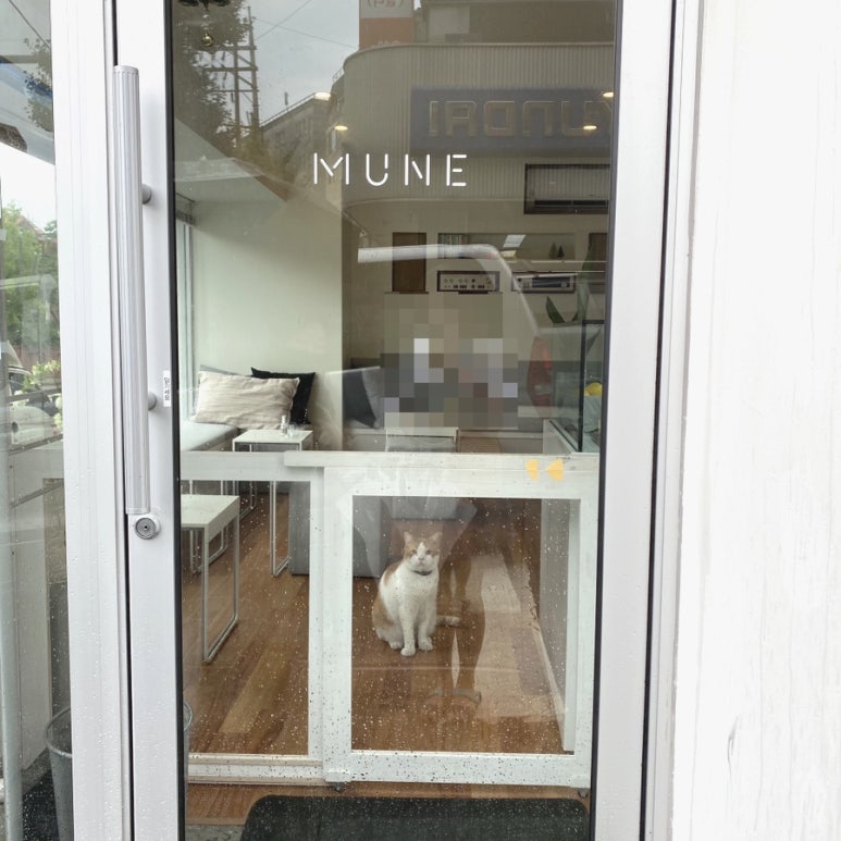 MUNE(무네) 이미지