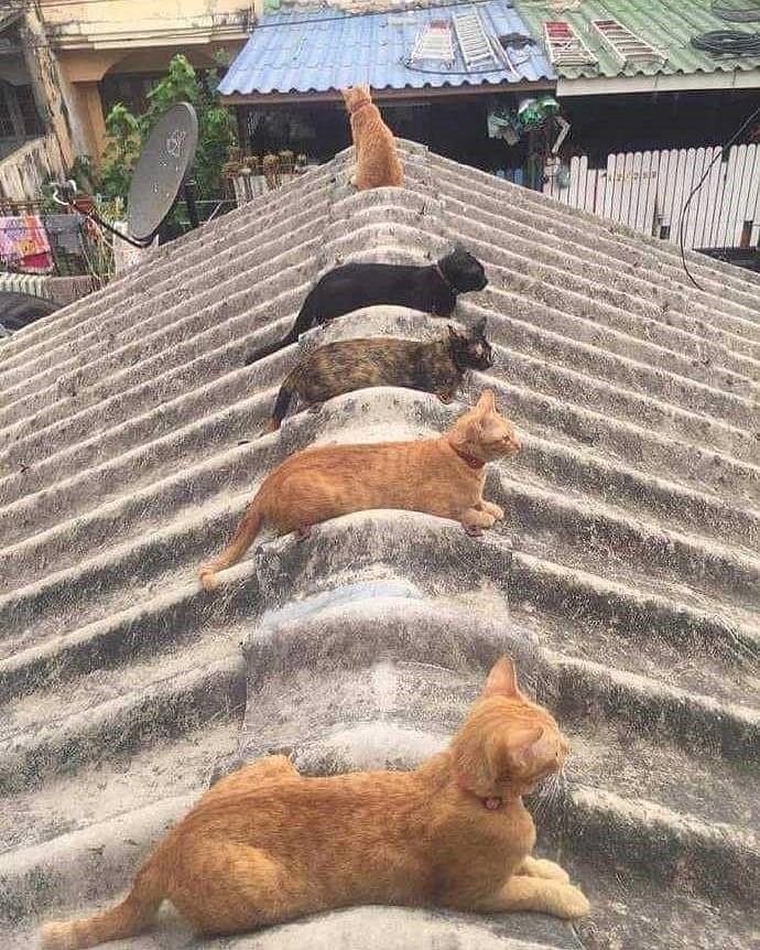해성어린이집 이미지