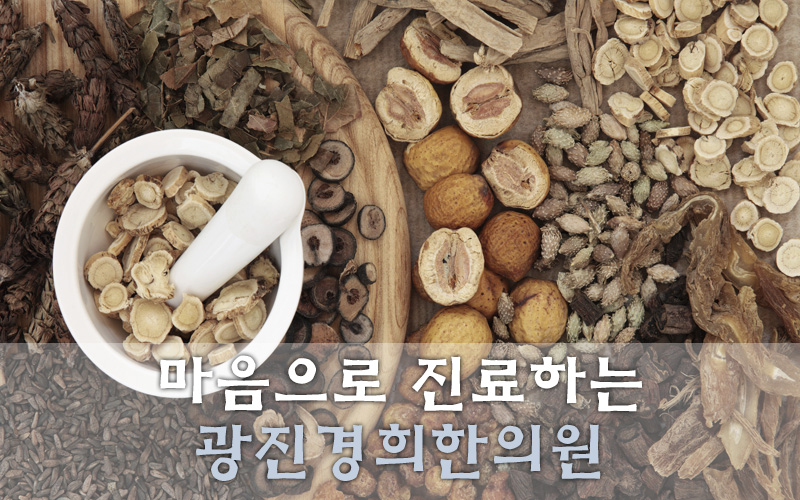 광진기전 이미지