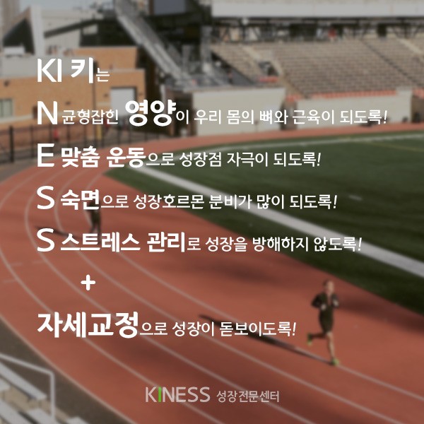 키네코어 이미지