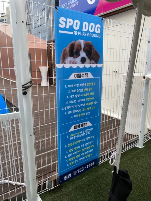 스포독 이미지
