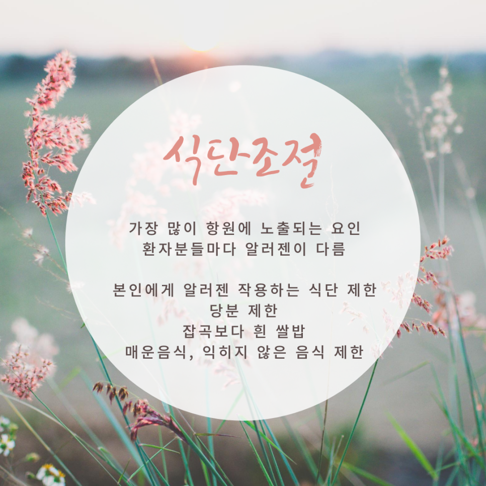 하늘체한의원 이미지