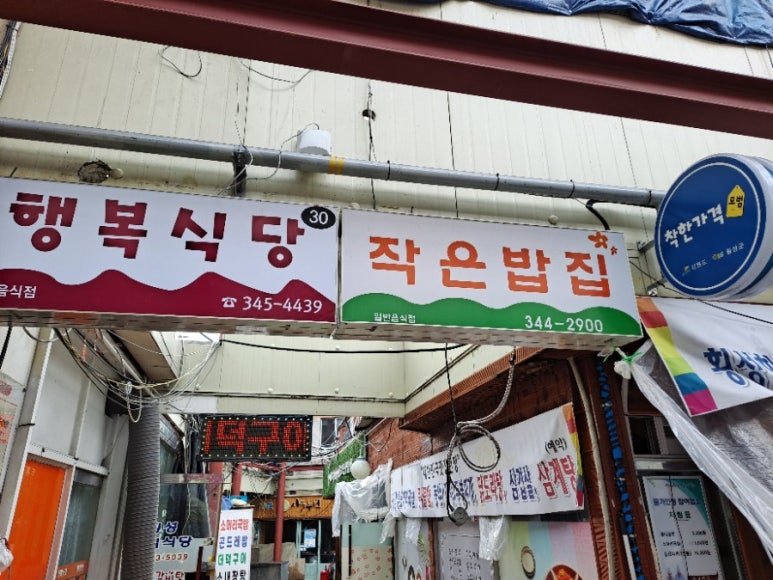 돼지팻션 이미지