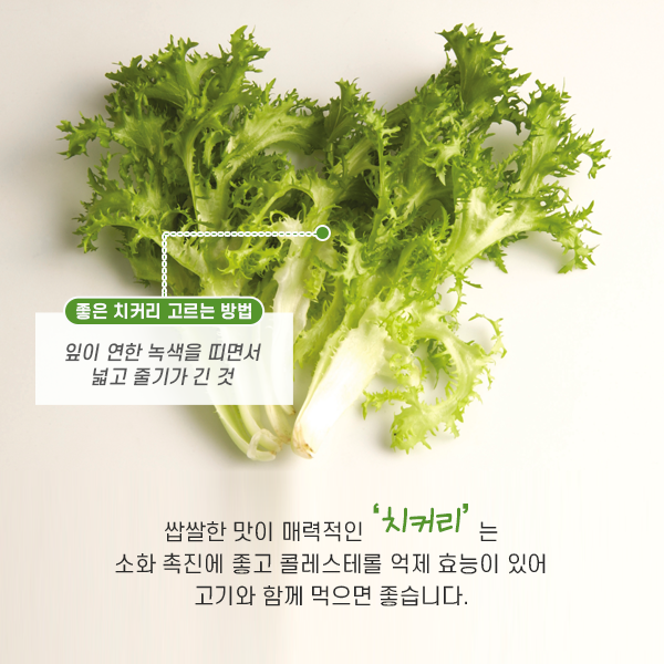 한입쌈 이미지