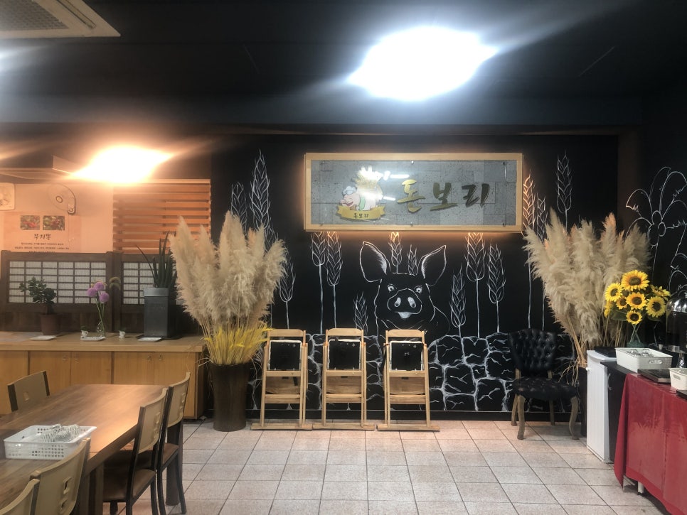 돈보리 이미지