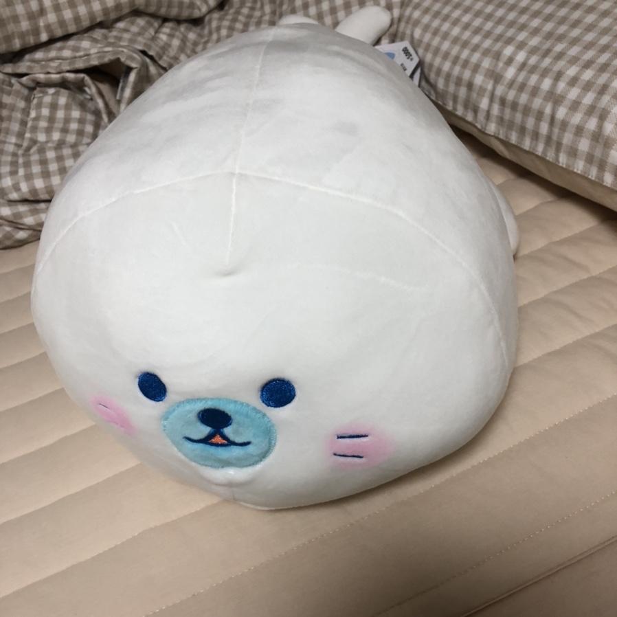 우정까망촌돼지 이미지