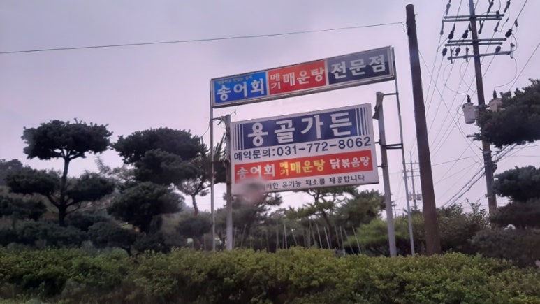 용골가든 이미지