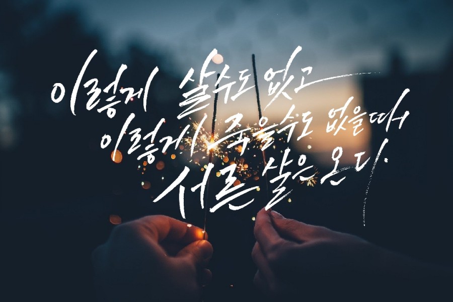 선지그리다 이미지