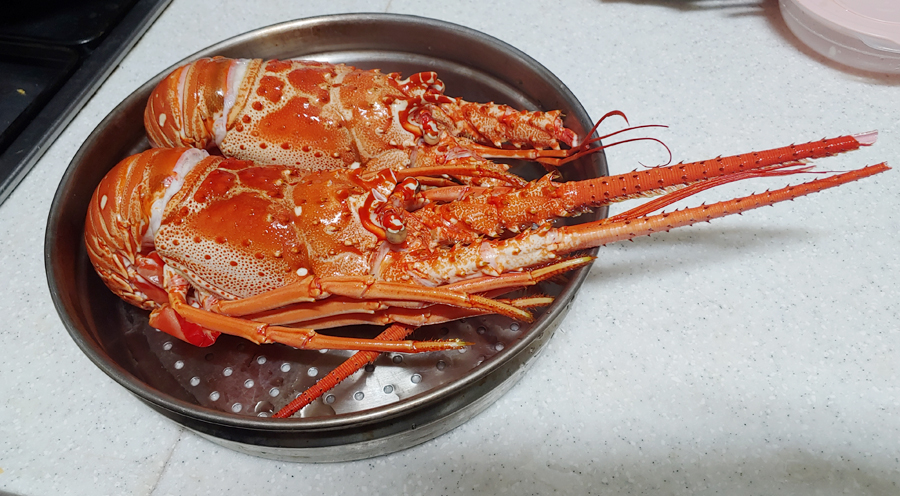 (주)피시원 이미지