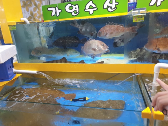 가연수산 이미지