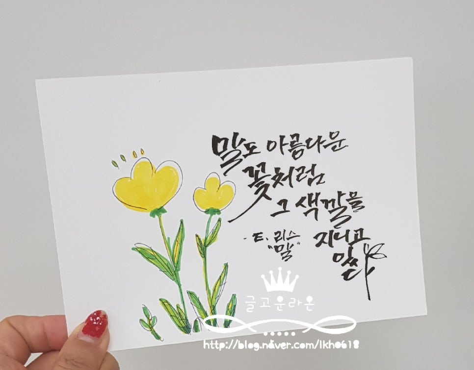 캘리스토리 이미지