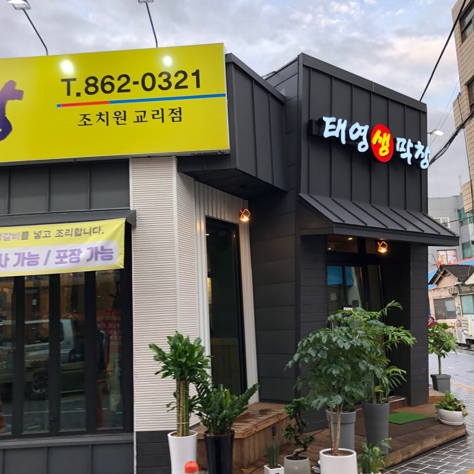태영생막창 조치원점 이미지