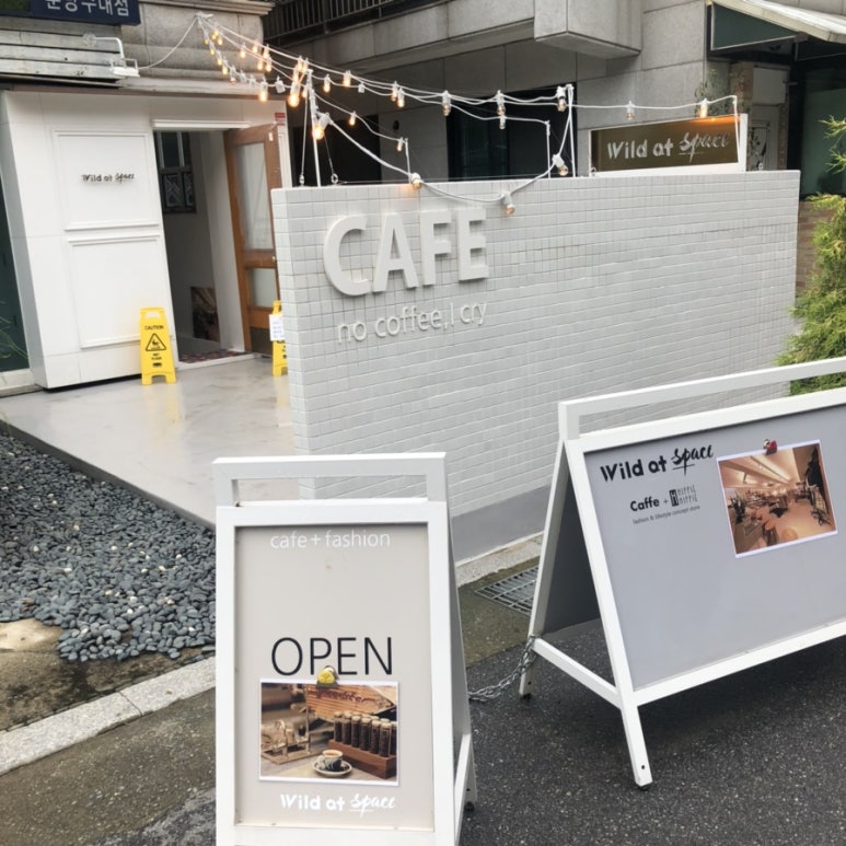 와일드앳스페이스 이미지
