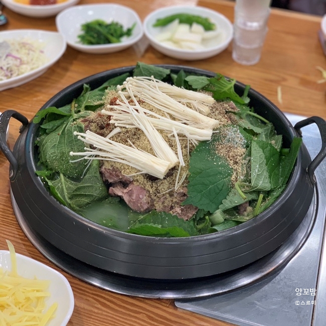 24시금강산흑염소 이미지