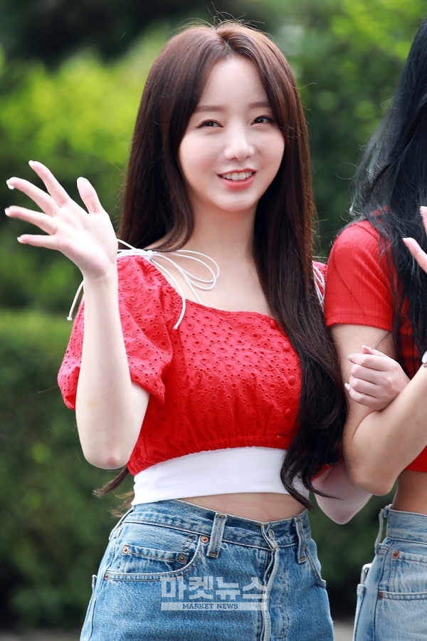 케이위 이미지