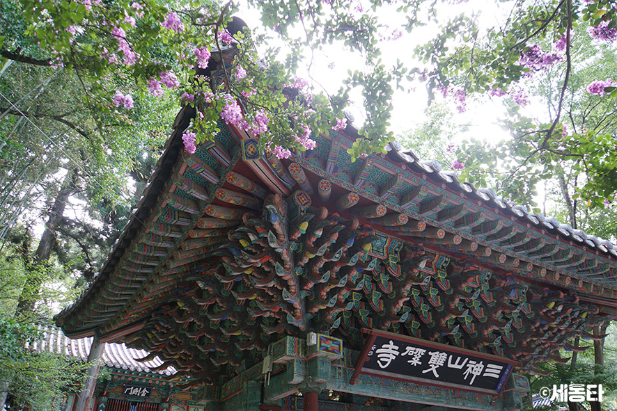 피서지다방 이미지