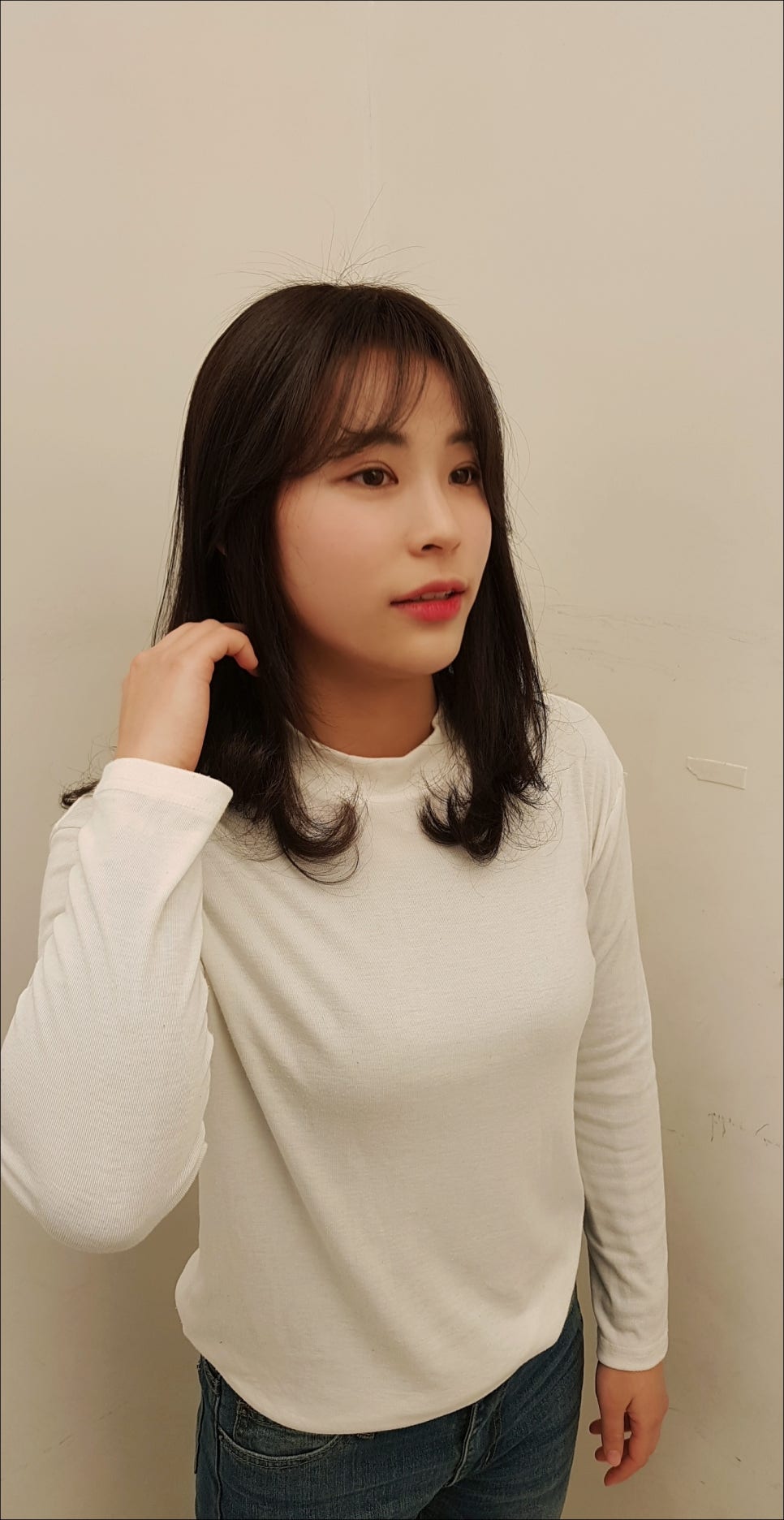 아르미헤어 이미지