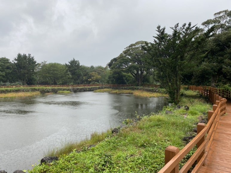 제주동마트 이미지