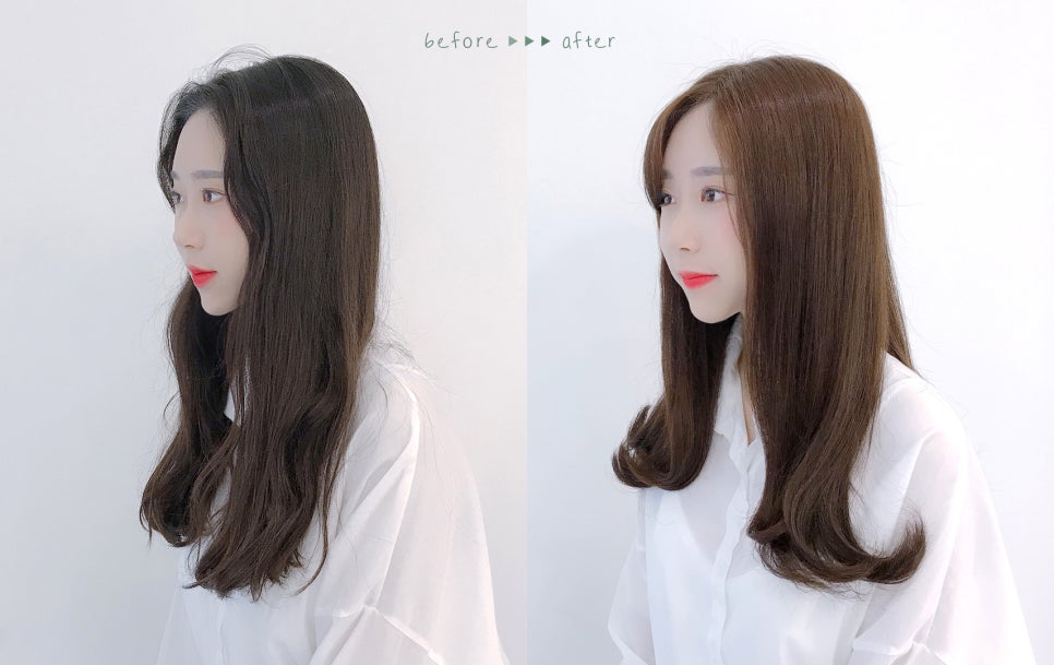 데일리브라운 이미지