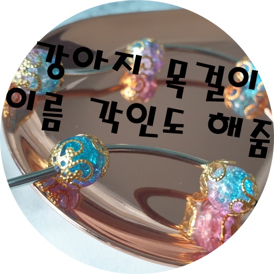 짝이되는동무 이미지