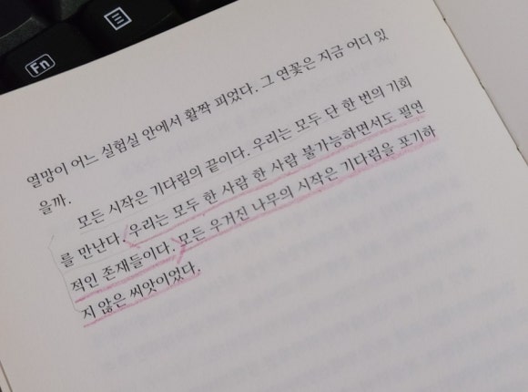 작은꿈들 이미지