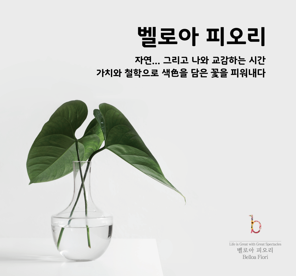 벨로아피오리 이미지