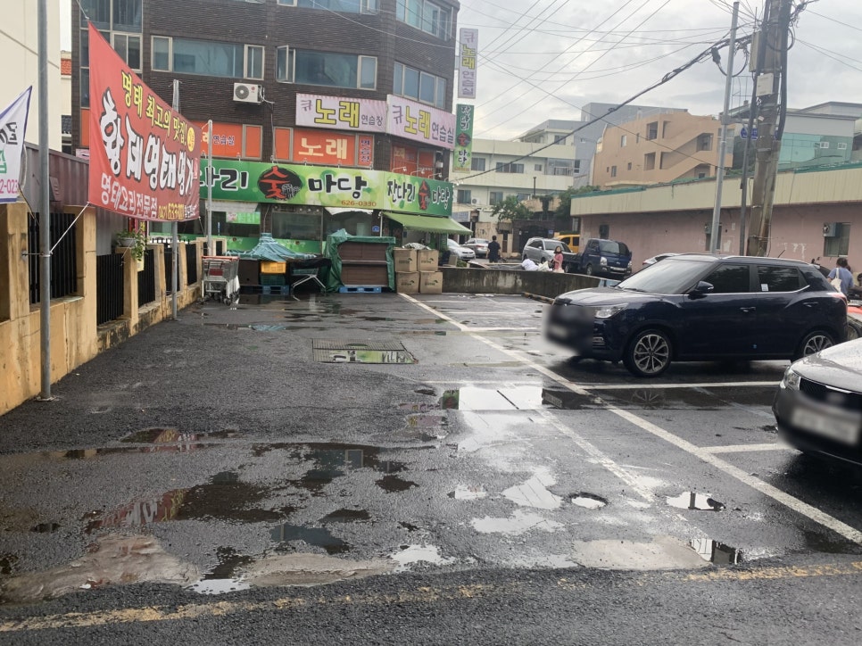 황제명태명가 이미지