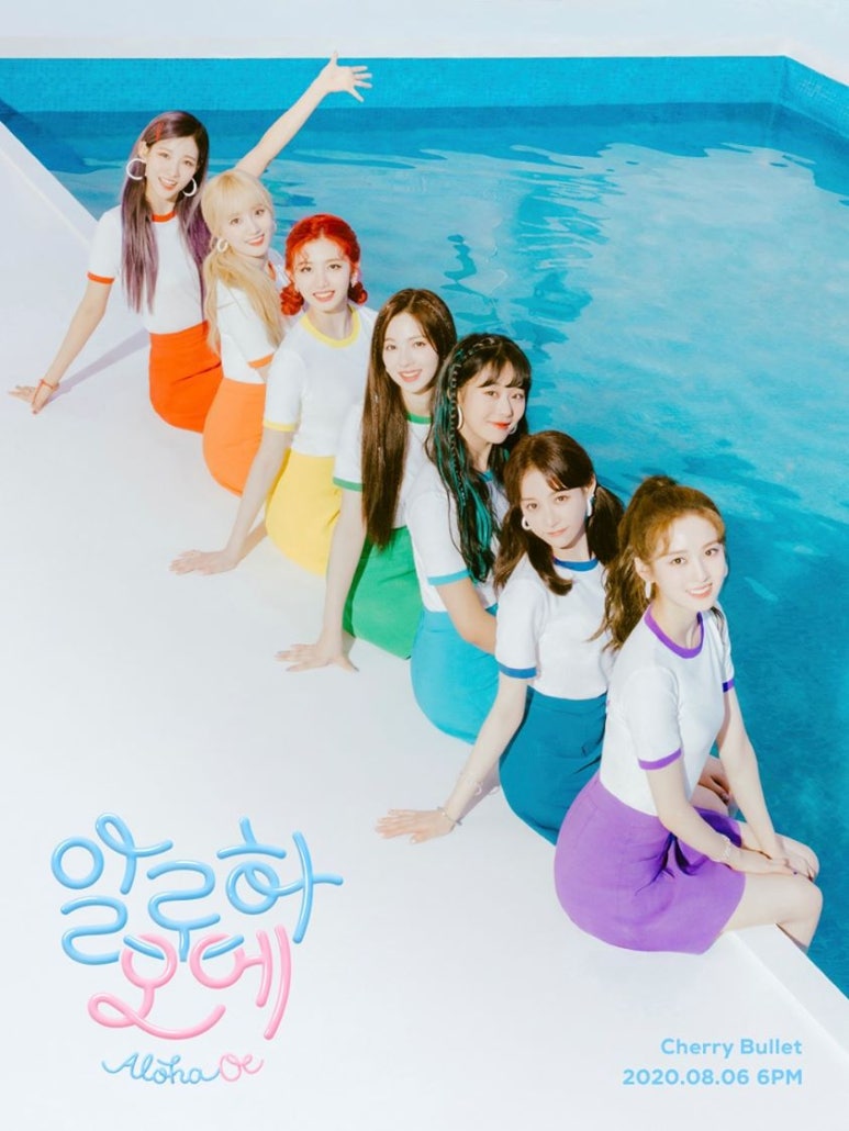 체리글로벌 이미지