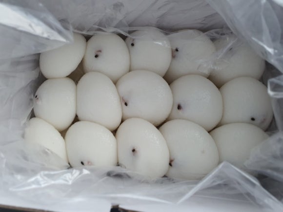 송화잔기지떡충주 이미지