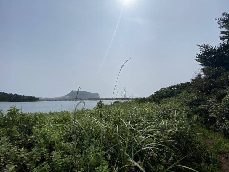 제주동마트 이미지