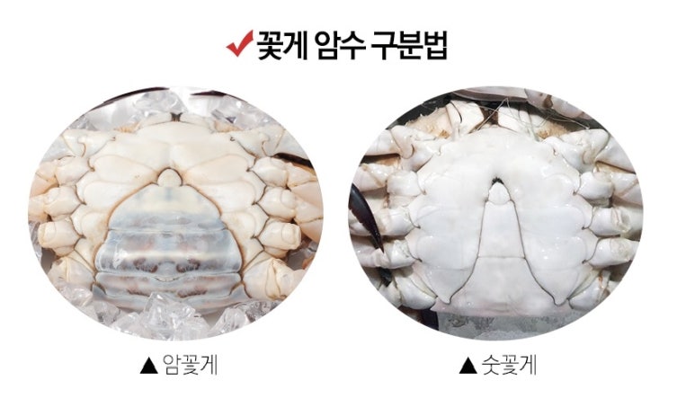 진구네간장게장 이미지