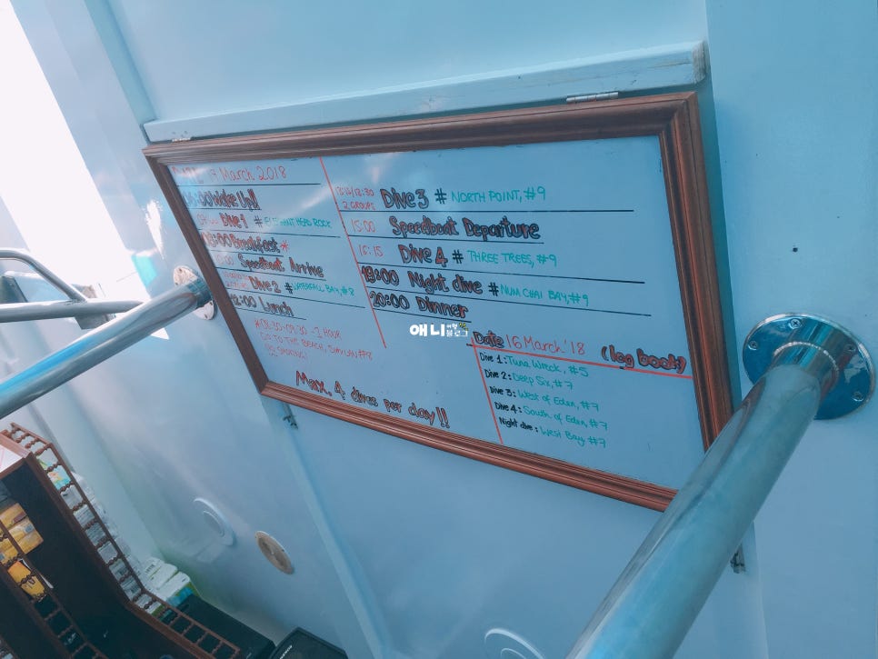리다이버스 이미지