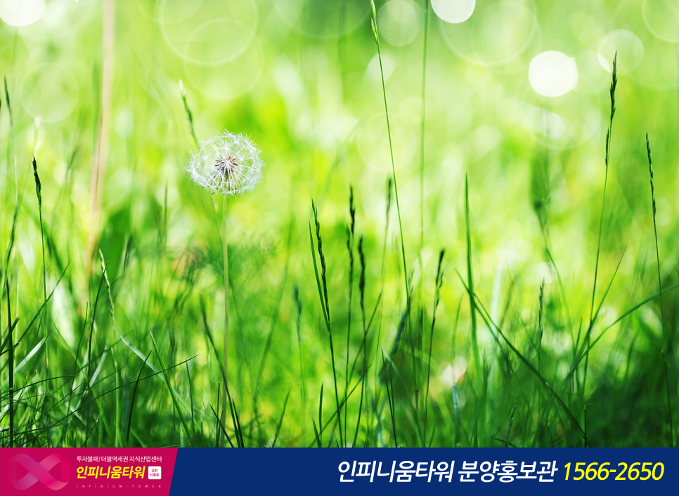 죽림석유 이미지