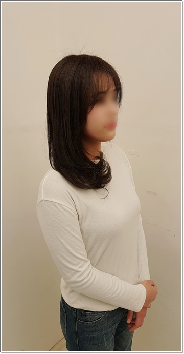 아르미헤어 이미지