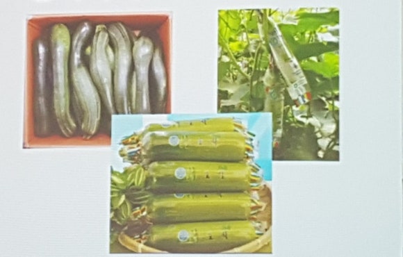 에띠임 이미지