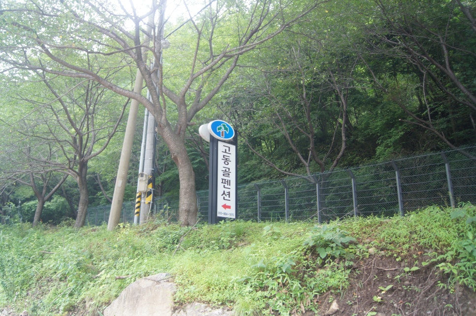 고동골펜션 이미지