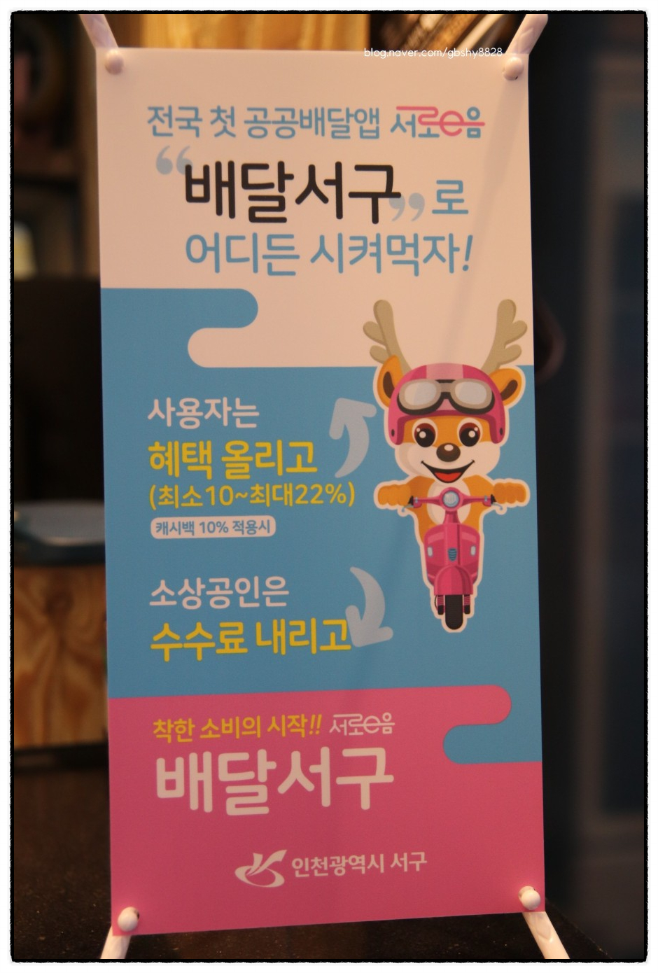 참치라이더 이미지