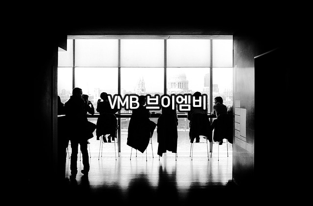 브이엠비(VMB) 이미지