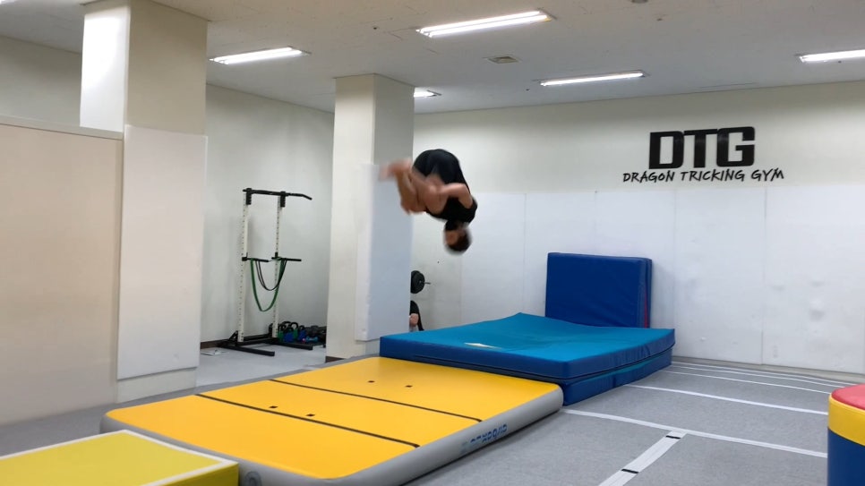 드래곤트릭킹짐 이미지