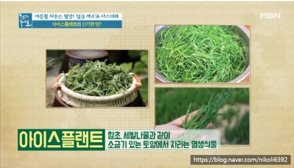 아삭아이스 이미지