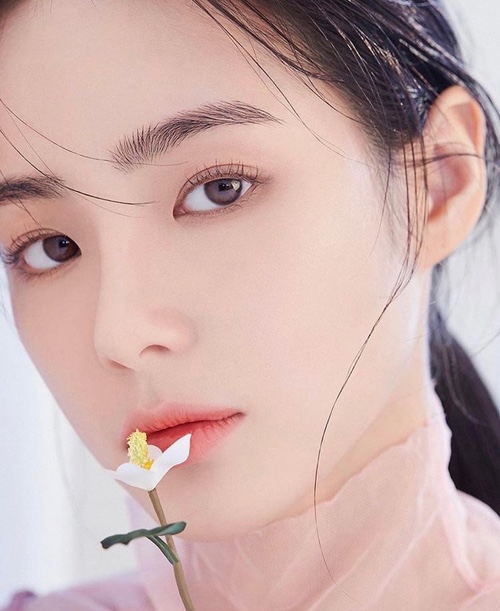 디어브로우 이미지