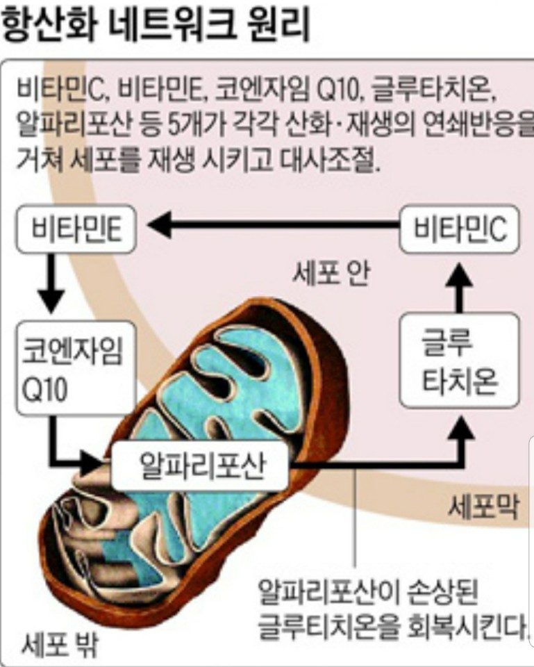 오피시 이미지