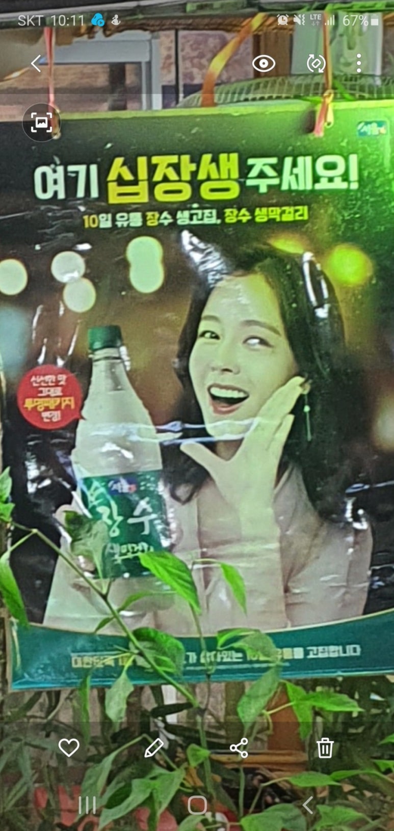 아리포차 이미지