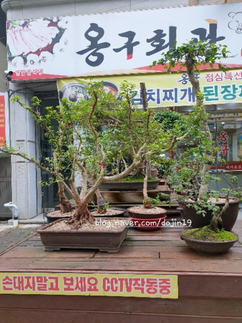 옹구회관 이미지