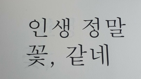 마리앤나플라워 이미지
