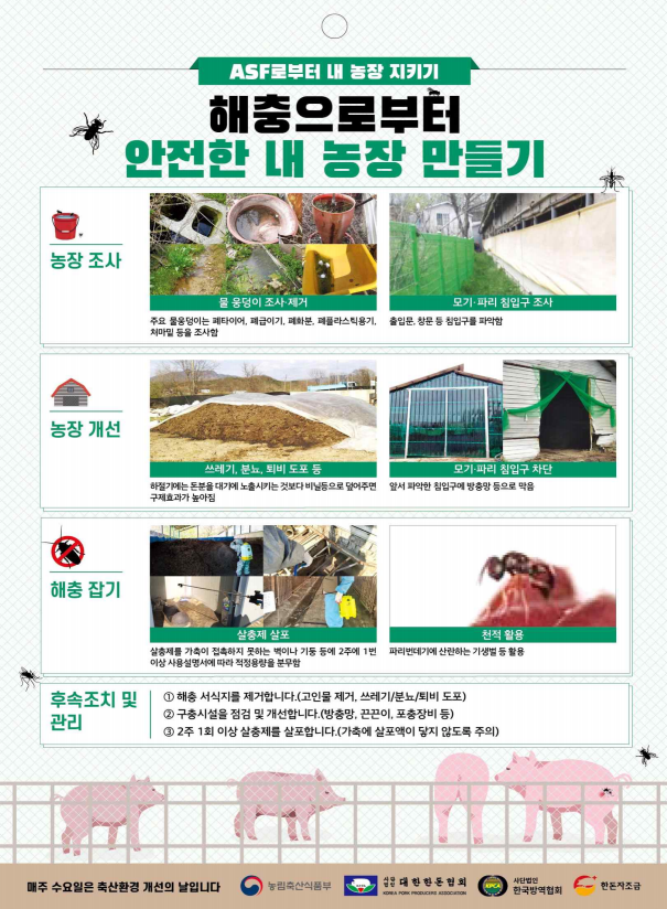 지금,돼지 이미지
