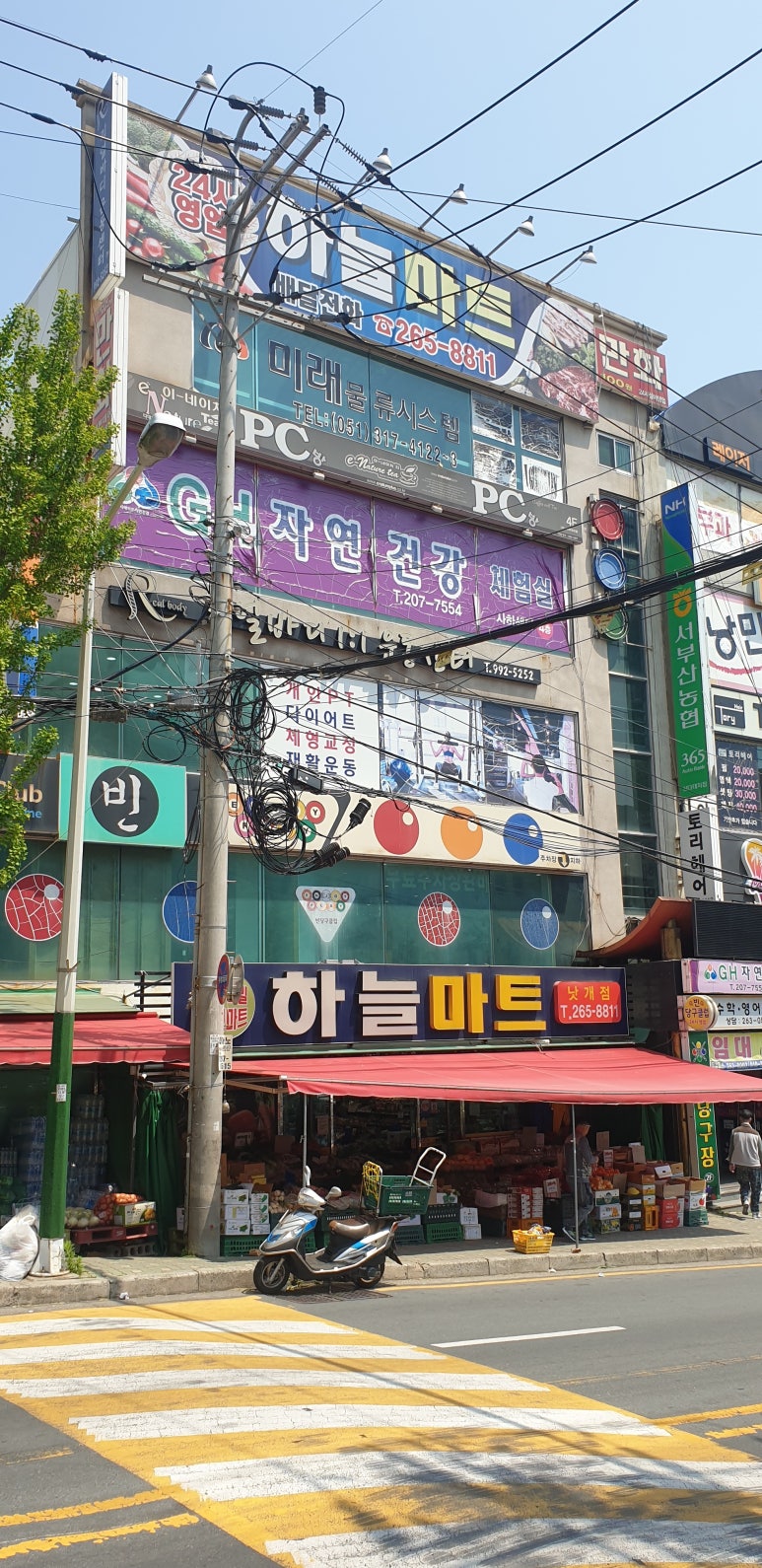 장내과 이미지
