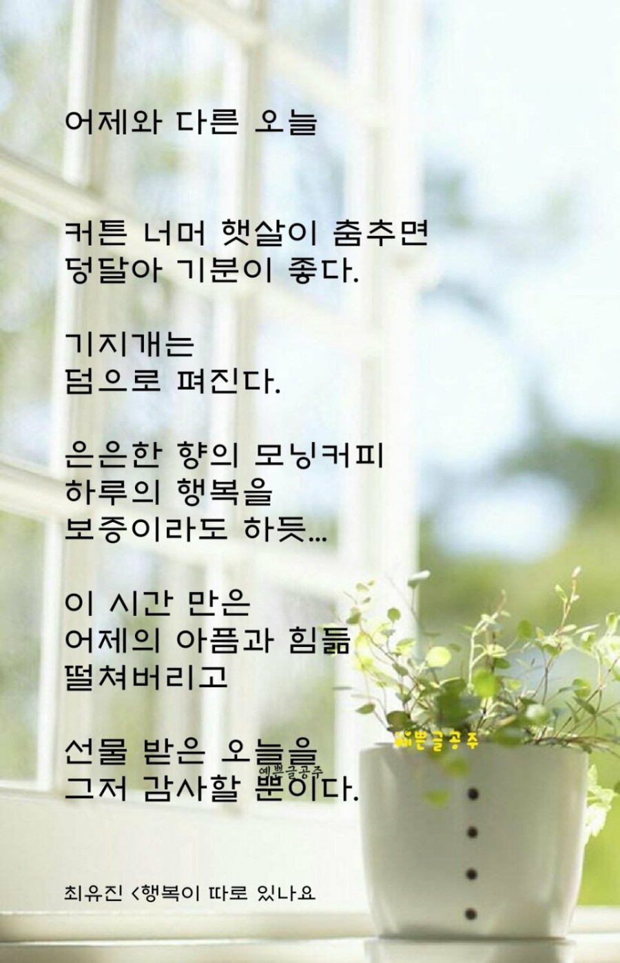 고빨래방 이미지