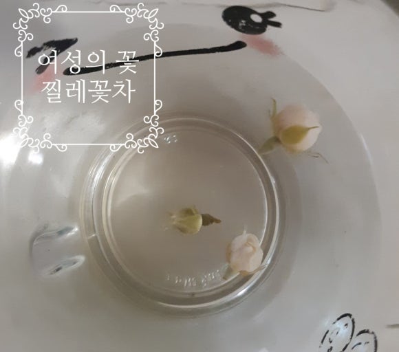 꽃마시다 이미지